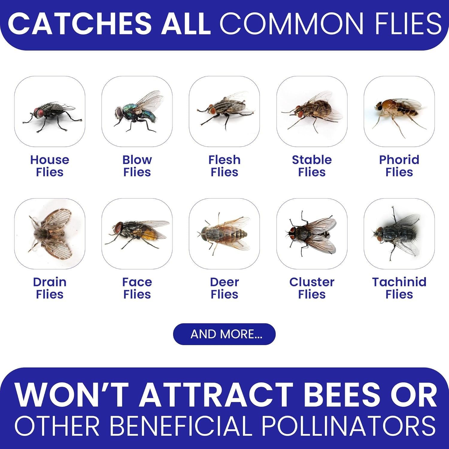 image_2025-02-18_180014552