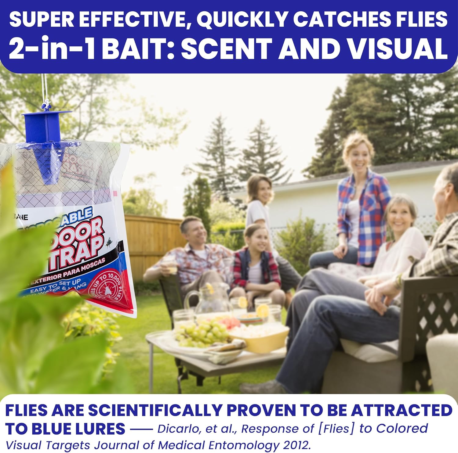 image_2025-02-18_180117355