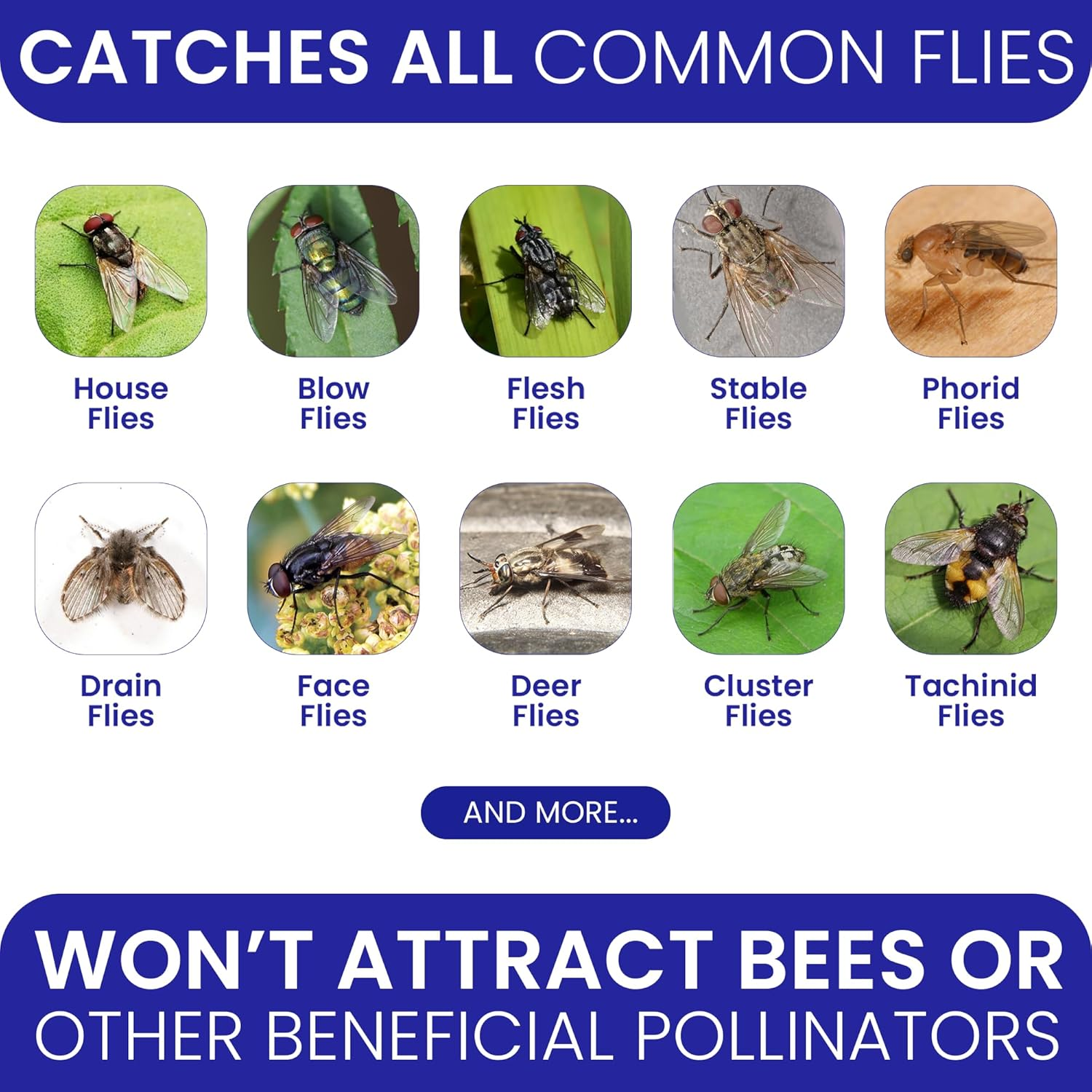 image_2025-02-19_010605072