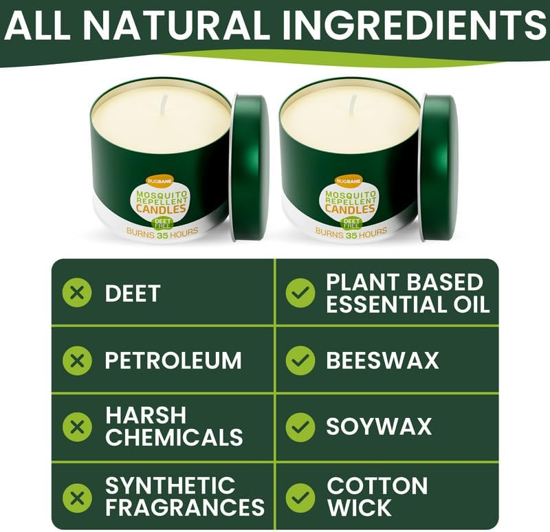 image_2025-02-20_155112032