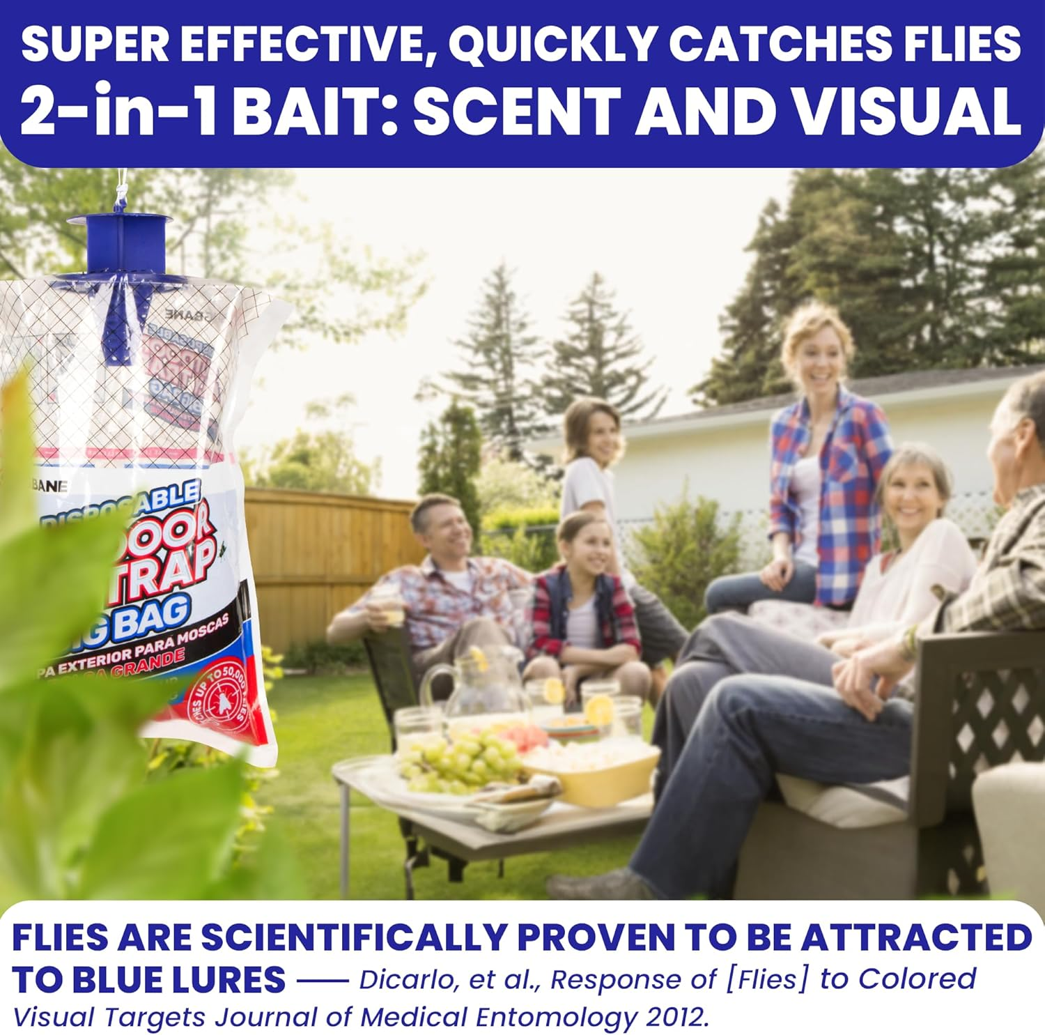 image_2025-02-20_182034156