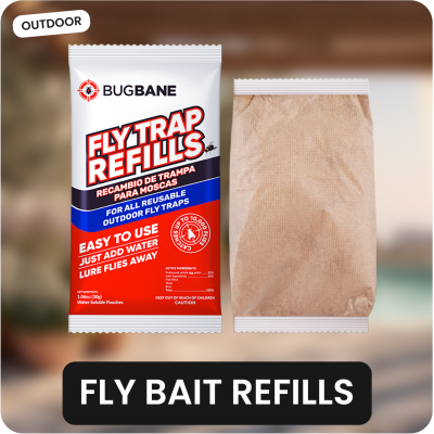 BugBane Fly Trap Baits