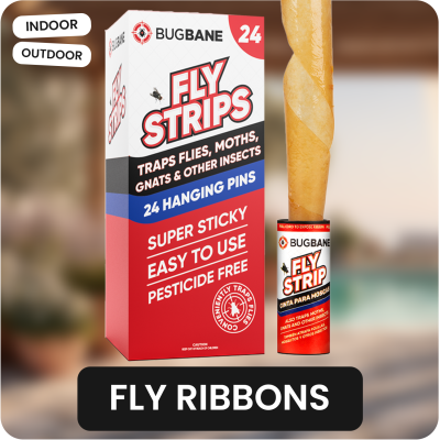 BugBane Fly Ribbons