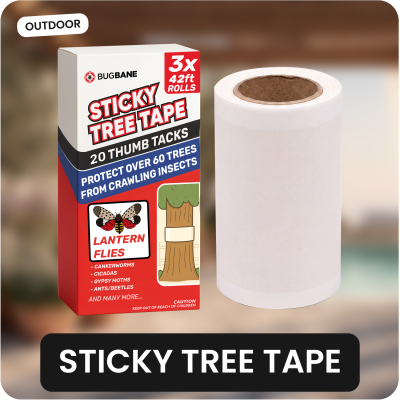 BugBane Sticky Tree Tape