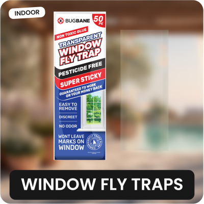 BugBane Window Fly Traps